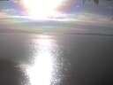./images/koeye/fitz-hugh/20250404/fitz-hugh20250404_170502.jpg