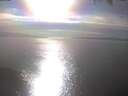 ./images/koeye/fitz-hugh/20250404/fitz-hugh20250404_171002.jpg