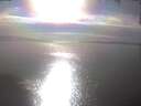 ./images/koeye/fitz-hugh/20250404/fitz-hugh20250404_171502.jpg