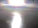 ./images/koeye/fitz-hugh/20250404/fitz-hugh20250404_172002.jpg