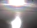 ./images/koeye/fitz-hugh/20250404/fitz-hugh20250404_172502.jpg