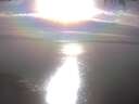 ./images/koeye/fitz-hugh/20250404/fitz-hugh20250404_173002.jpg