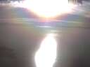 ./images/koeye/fitz-hugh/20250404/fitz-hugh20250404_174502.jpg