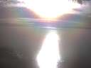./images/koeye/fitz-hugh/20250404/fitz-hugh20250404_175002.jpg