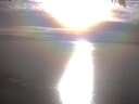 ./images/koeye/fitz-hugh/20250404/fitz-hugh20250404_175502.jpg