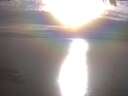 ./images/koeye/fitz-hugh/20250404/fitz-hugh20250404_180002.jpg