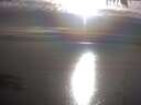 ./images/koeye/fitz-hugh/20250404/fitz-hugh20250404_180502.jpg