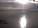./images/koeye/fitz-hugh/20250404/fitz-hugh20250404_181002.jpg
