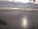 ./images/koeye/fitz-hugh/20250404/fitz-hugh20250404_182001.jpg