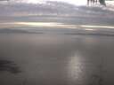 ./images/koeye/fitz-hugh/20250404/fitz-hugh20250404_182501.jpg