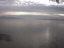 ./images/koeye/fitz-hugh/20250404/fitz-hugh20250404_184501.jpg