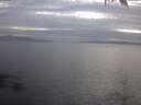 ./images/koeye/fitz-hugh/20250404/fitz-hugh20250404_191001.jpg