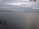 ./images/koeye/fitz-hugh/20250404/fitz-hugh20250404_191501.jpg