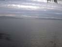 ./images/koeye/fitz-hugh/20250404/fitz-hugh20250404_192001.jpg