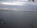 ./images/koeye/fitz-hugh/20250404/fitz-hugh20250404_192501.jpg
