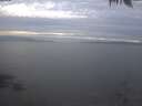 ./images/koeye/fitz-hugh/20250404/fitz-hugh20250404_193002.jpg
