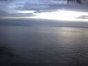 ./images/koeye/fitz-hugh/20250404/fitz-hugh20250404_204002.jpg
