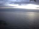 ./images/koeye/fitz-hugh/20250404/fitz-hugh20250404_204502.jpg
