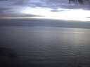 ./images/koeye/fitz-hugh/20250404/fitz-hugh20250404_205002.jpg