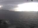 ./images/koeye/fitz-hugh/20250418/fitz-hugh20250418_171502.jpg