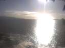 ./images/koeye/fitz-hugh/20250418/fitz-hugh20250418_181002.jpg