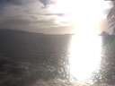./images/koeye/fitz-hugh/20250418/fitz-hugh20250418_182502.jpg