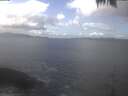 ./images/koeye/fitz-hugh/20250420/fitz-hugh20250420_125002.jpg