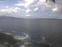 ./images/koeye/fitz-hugh/20250420/fitz-hugh20250420_131001.jpg