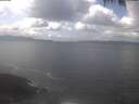 ./images/koeye/fitz-hugh/20250420/fitz-hugh20250420_132501.jpg
