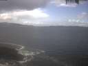 ./images/koeye/fitz-hugh/20250420/fitz-hugh20250420_135501.jpg