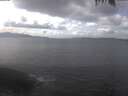 ./images/koeye/fitz-hugh/20250420/fitz-hugh20250420_143002.jpg