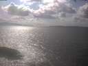 ./images/koeye/fitz-hugh/20250420/fitz-hugh20250420_160502.jpg