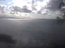 ./images/koeye/fitz-hugh/20250420/fitz-hugh20250420_161002.jpg