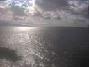 ./images/koeye/fitz-hugh/20250420/fitz-hugh20250420_161502.jpg