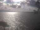 ./images/koeye/fitz-hugh/20250420/fitz-hugh20250420_162001.jpg