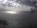 ./images/koeye/fitz-hugh/20250420/fitz-hugh20250420_162501.jpg