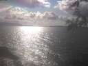 ./images/koeye/fitz-hugh/20250420/fitz-hugh20250420_163501.jpg
