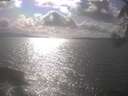 ./images/koeye/fitz-hugh/20250420/fitz-hugh20250420_164001.jpg