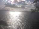 ./images/koeye/fitz-hugh/20250420/fitz-hugh20250420_164501.jpg