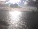 ./images/koeye/fitz-hugh/20250420/fitz-hugh20250420_165001.jpg