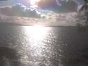 ./images/koeye/fitz-hugh/20250420/fitz-hugh20250420_165501.jpg