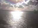 ./images/koeye/fitz-hugh/20250420/fitz-hugh20250420_170002.jpg