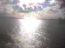 ./images/koeye/fitz-hugh/20250420/fitz-hugh20250420_170501.jpg