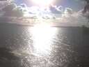 ./images/koeye/fitz-hugh/20250420/fitz-hugh20250420_171001.jpg
