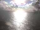 ./images/koeye/fitz-hugh/20250420/fitz-hugh20250420_171501.jpg