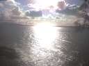./images/koeye/fitz-hugh/20250420/fitz-hugh20250420_172001.jpg