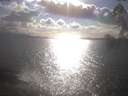 ./images/koeye/fitz-hugh/20250420/fitz-hugh20250420_172501.jpg