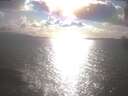 ./images/koeye/fitz-hugh/20250420/fitz-hugh20250420_173002.jpg