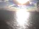 ./images/koeye/fitz-hugh/20250420/fitz-hugh20250420_173501.jpg