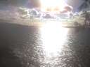 ./images/koeye/fitz-hugh/20250420/fitz-hugh20250420_174001.jpg